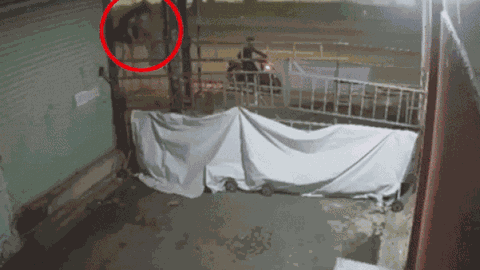 Clip: Mặc váy ngắn leo rào 3m vào khu phong tỏa, cô gái bị người dân đuổi ra theo đường cũ