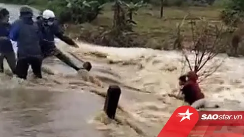Clip: 'Đứng tim' cảnh giải cứu người phụ nữ bấu víu vào gốc cây giữa dòng lũ chảy xiết