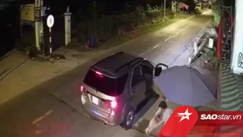 Clip: Nhóm 'cẩu tặc' đi ô tô, dùng súng bắn điện trộm chó chỉ trong vài giây rồi tẩu thoát
