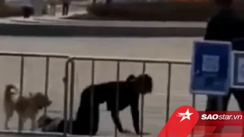 Clip: Tự đeo dây xích vào cổ, cô gái bò lồm cồm trên đất cùng chó cưng gây xôn xao dư luận