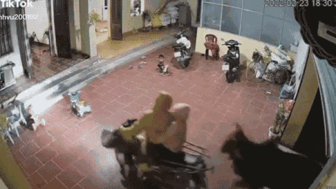 Clip: Thấy 'vị khách không mời' lao thẳng vào nhà, cả gia đình chạy tán loạn thoát thân
