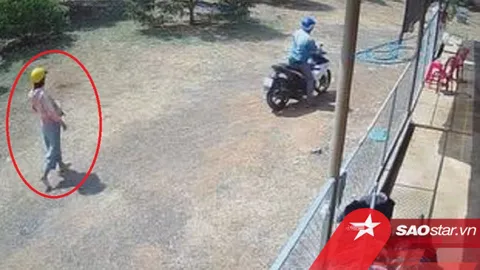 Chồng dẫn vợ bầu bụng to vượt mặt đi ăn trộm khiến dư luận ngán ngẩm