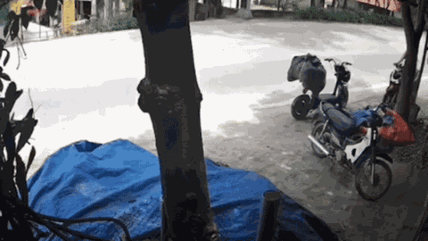 Clip: Nam thanh niên phóng xe máy như bay và cái kết đầy đau đớn