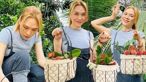 Đi dép lê, mặc trang phục giản dị nhưng Mỹ Tâm vẫn ghi điểm trong mắt khán