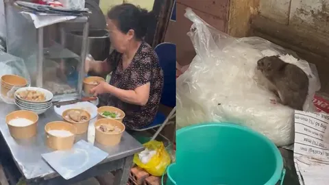 Quán ăn ở Hà Nội có 'chuột bò trên túi bún' bị xử phạt 2 triệu đồng