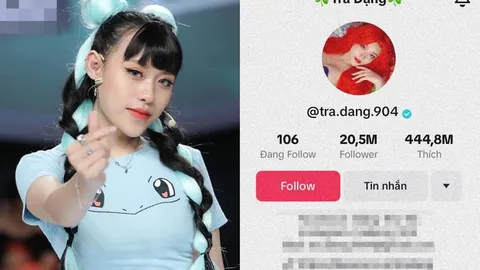 TikToker TOP 1 Việt Nam đã có chồng nhưng không ai biết!