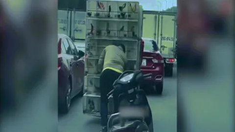 Clip: Thanh niên hồn nhiên lấy chim của người bán hàng trên đường