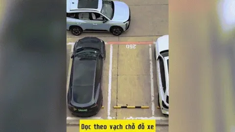 Clip: Cô gái hướng dẫn lùi xe khiến cánh mày râu phải nể