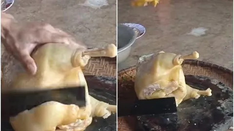 Mua được con gà về luộc, người đàn ông ngỡ ngàng vì toàn mỡ là mỡ