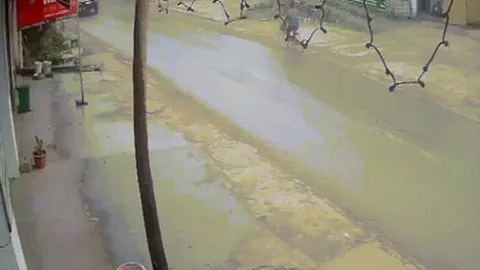 Clip: Kinh hoàng xe đạp đang đi bất ngờ lao vào đầu ô tô