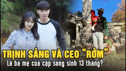 Scandal Trịnh Sảng chối bỏ con: Fan quay lưng, chủ biên tạp chí khiếp sợ con người của nữ diễn viên