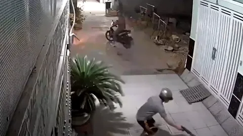 CLIP: 2 gã 'cẩu tặc' quyết đuổi cùng giết tận chú chó lúc nửa đêm, dùng súng điện bắn con vật đến bất động