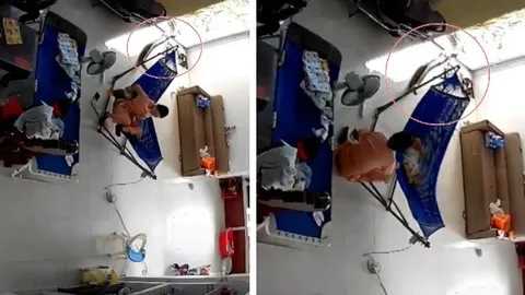 Đang đưa võng cho con ngủ thì phát hiện có con rắn to đùng nằm bên dưới, người phụ nữ nhanh chóng hành động khiến ai nấy thót tim