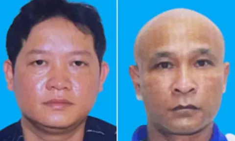 Công an Hải Phòng thông tin vụ mua bán hơn 130 tấn thịt lợn nhiễm dịch Tả lợn Châu Phi