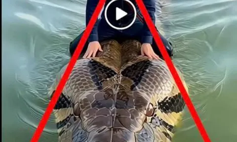 Xử phạt người dùng AI tạo video trăn khổng lồ bơi trên hồ Hoàn Kiếm