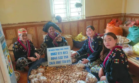 Nhà thuốc Mế Mụi chữa vô sinh có tốt như lời đồn?