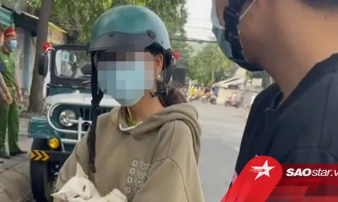 Vụ xử phạt cặp đôi đưa mèo ốm đi khám thú y: Sở Thông tin và Truyền thông Long An lên tiếng