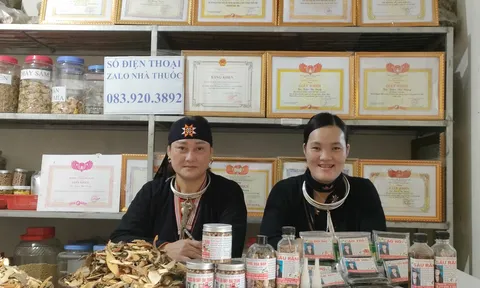 Bà Triệu Thị Dung và con gái Dương Thị Lệ phát triển nghề thuốc nam gia truyền