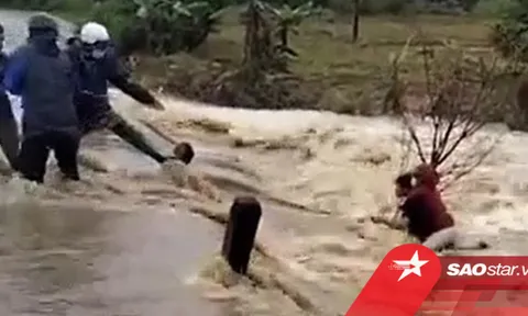 Clip: 'Đứng tim' cảnh giải cứu người phụ nữ bấu víu vào gốc cây giữa dòng lũ chảy xiết