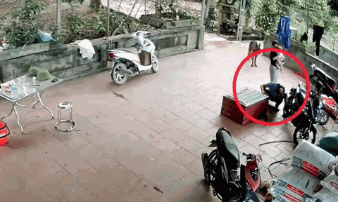 Đứng tim cảnh trăn 'khủng' sổ lồng, lao thẳng ra cắn chặt vào mặt người đàn ông