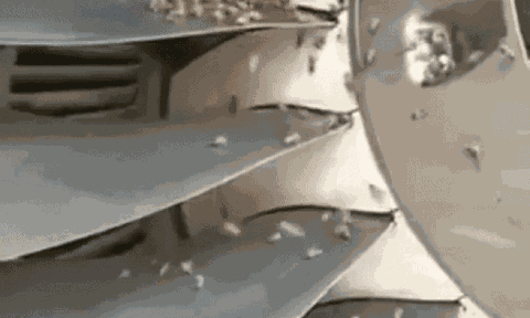 Clip: Sự cố đàn ong bám vào động cơ khiến chuyến bay từ Phú Quốc đi Hà Nội bị 'delay' 1 tiếng