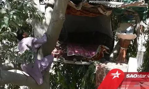 Chàng trai 'Tarzan' dựng tổ trên cây sống như chim suốt 8 năm