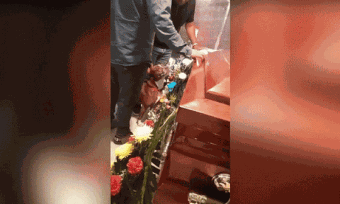 Chú chó chăm chăm nhìn vào quan tài chủ nhân, bất ngờ làm một việc cảm động vô cùng
