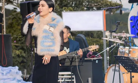 Gặp trục trặc âm thanh, Lệ Quyên có cách xử lý để không phải hát nhép trên sân khấu