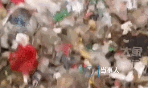 Bị mẹ chồng vứt nhầm nhẫn cưới vào bãi rác, con dâu tức tốc làm một điều khiến nhiều người nể phục