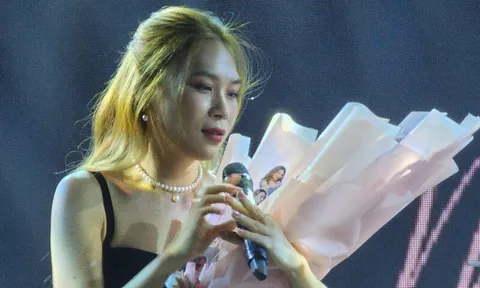 Mỹ Tâm chính thức công bố 'con đầu lòng' sau thời gian dài giấu kín với khán giả