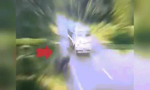 Clip: Tê giác va chạm xe tải, ô tô con may mắn thoát nạn