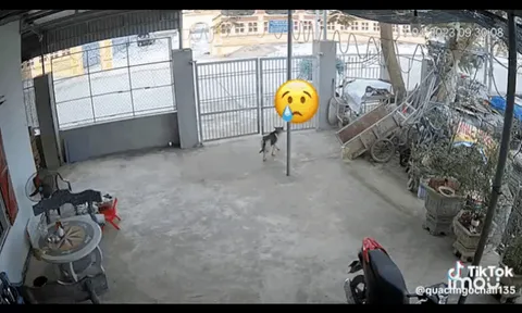 Clip: Xe tải chở thép tuột bánh xe tự chế văng trúng cụ bà đi bộ