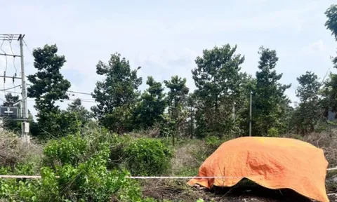 Vụ phát hiện cặp tay chân ở Bình Dương: Công an kêu gọi tài xế từng đi qua hiện trường làm điều này