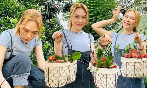 Đi dép lê, mặc trang phục giản dị nhưng Mỹ Tâm vẫn ghi điểm trong mắt khán