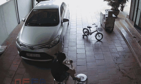 Vừa cầm tô cơm định ăn, người phụ nữ vội bỏ chạy vì một nguy hiểm không ngờ