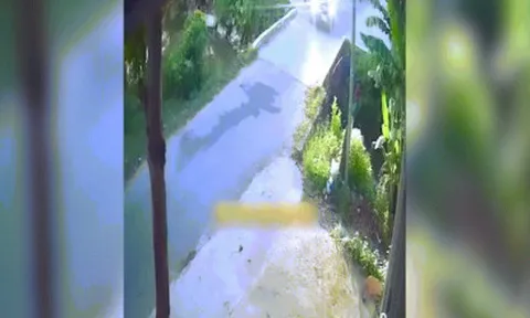 Clip: Tài xế ô tô có màn qua cầu không thể tệ hơn