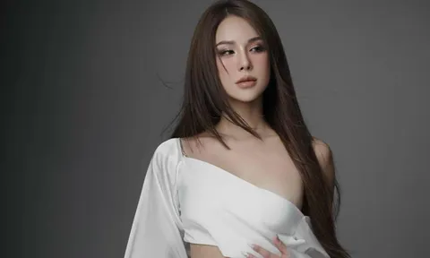 Diệp Lâm Anh phải hủy show vì lùm xùm ly hôn