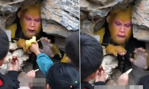 Clip 'Tôn Ngộ Không' bị các em nhỏ đút đồ ăn đến mức không kịp thở gây sốt MXH