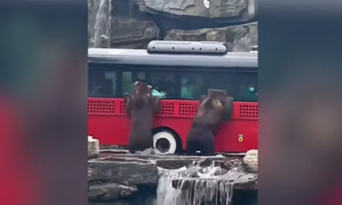 Clip: Khi "đầu gấu" chặn xe, hành khách vẫn bình thản di chuyển