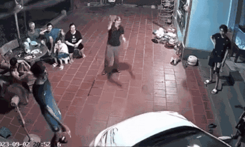 Lái xe vào sân, nữ tài xế ôtô khiến cả nhà giật mình thon thót