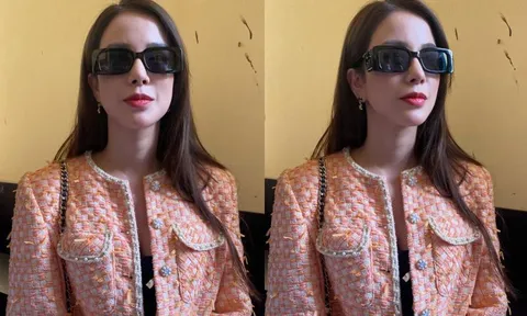 Diệp Lâm Anh: 'Gia đình anh Đức từng đưa ra con số 50 tỷ để lấy quyền nuôi con'