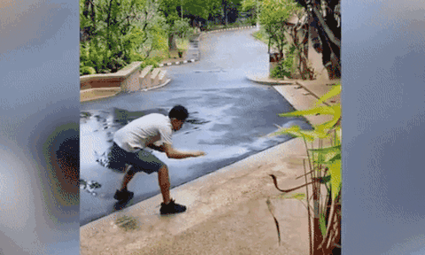 Thanh niên trổ tài 'tay không bắt rắn' và cái kết khiến dân tình cười ngất