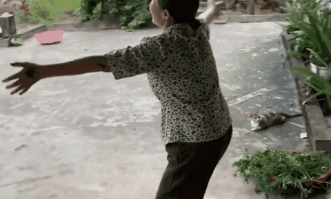 Con dâu thông báo mang thai, phản ứng của mẹ chồng khiến dân tình vui lây