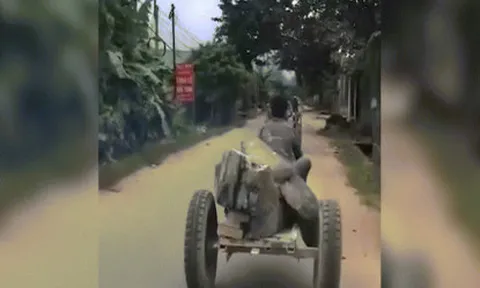 Clip: Công nông rơi hai bánh sau khi gặp tai nạn "dở khóc dở cười"