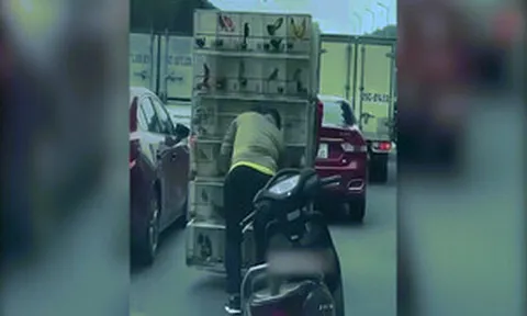 Clip: Thanh niên hồn nhiên lấy chim của người bán hàng trên đường