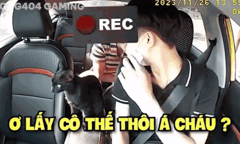Vừa tỏ vẻ ghét bỏ chú mèo, nam tài xế liền quay ngoắt thái độ khi được khách nữ chơi 'sộp'