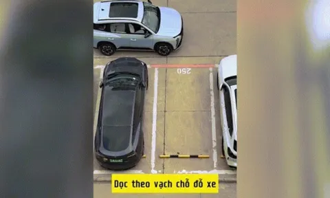 Clip: Cô gái hướng dẫn lùi xe khiến cánh mày râu phải nể