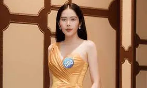 Nam Em nói về danh xưng hoa hậu
