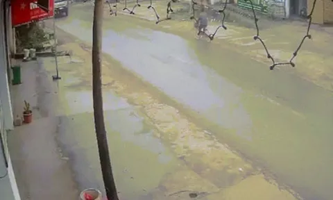 Clip: Kinh hoàng xe đạp đang đi bất ngờ lao vào đầu ô tô
