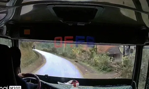 Clip: Thót tim tài xế thoát chết trong gang tấc khi xe tải đổ đèo